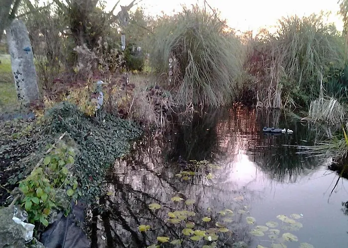 Holiday home De France - Le Du Marais *